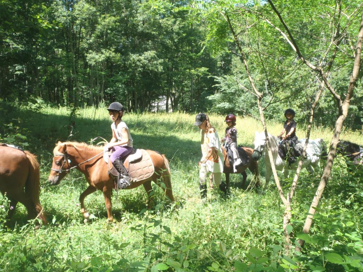 D'orlu Hébergement de vacances Orlu