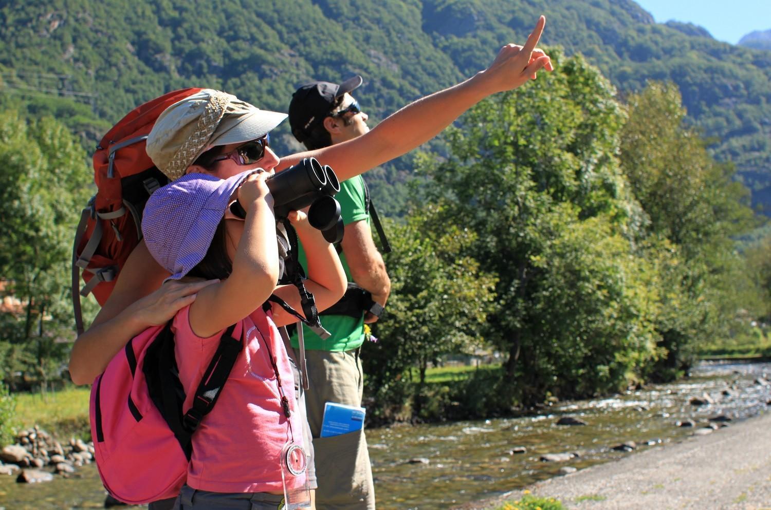 D'orlu Hébergement de vacances